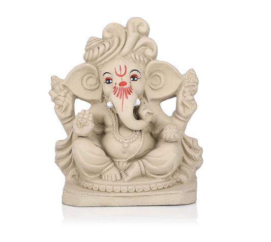 Eco-Friendly Ganesh Idol